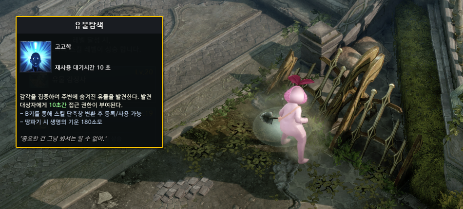 이미지 41