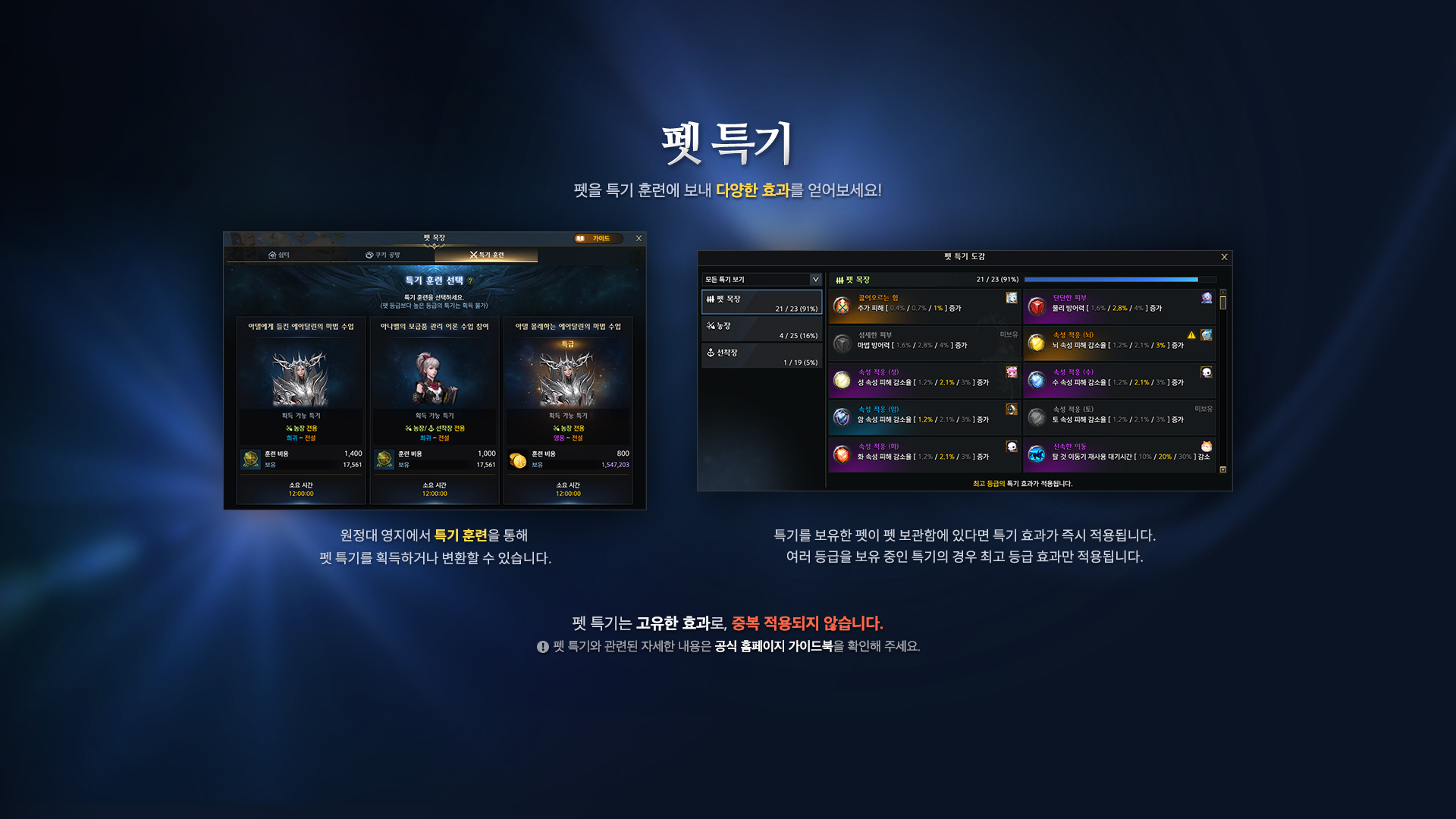 이미지 153